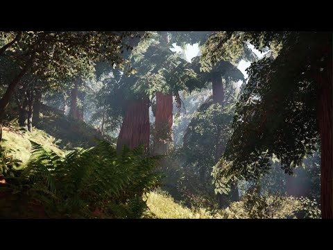 Far Cry Primal Peaceful Forest Ambience for Study and Relaxation
