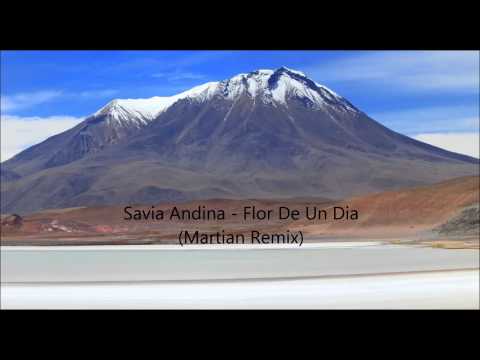 Savia Andina - Flor De Un Dia (Martian Remix) @ 7' 55"