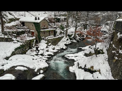 Colline Pistoiesi Prima Neve 2023