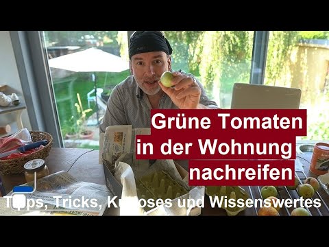 ⚠️Quick Tipp #9: Grüne unreife Tomaten nachreifen lassen - So wird die Tomate doch noch rot!