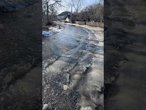 Деревенское море. Автор видео: @00000000.mrj Смешные комментарии.