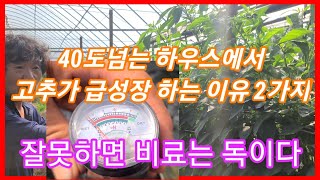 40도가 넘는 비닐하우에서 고추가 급성장 하는 이유 2가지~ 고추재배 방법 수용성비료 ph,수분 측정기