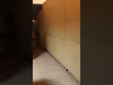 Maciseni amar generalul