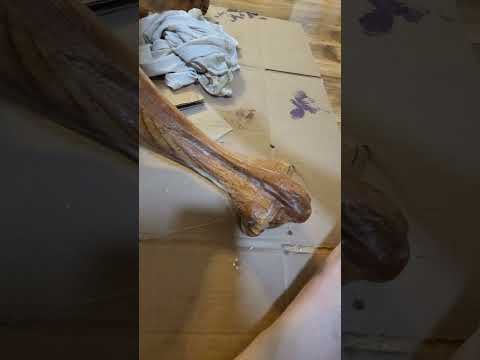 New Furniture Project- Claw Foot Table