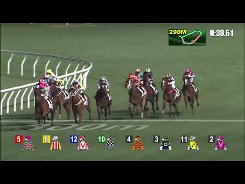 9/3/2022 (484) Circuit Seven - Matthew Poon