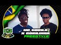 The Mc Gorila X Gorilinha On The Radar Freestyle OTR Brazil