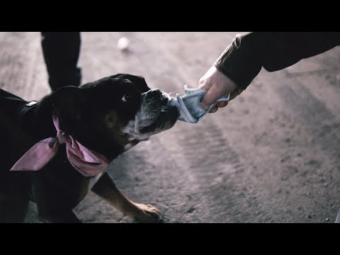 Akne Kid Joe - Gestern Emergenza (Official Video)