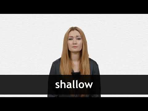 SHALLOT - Definição e sinônimos de shallot no dicionário inglês