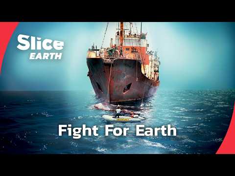 The Origins of Greenpeace: When Activism Meets Action | SLICE EARTH | FULL DOC