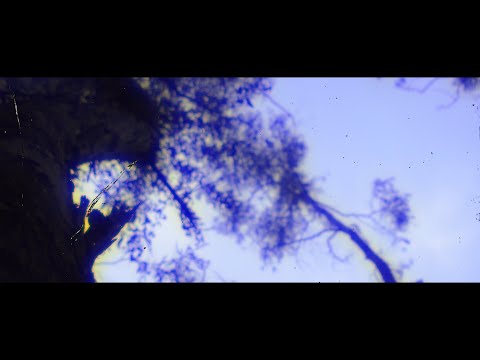 Realidad Mental ft. Mc Kno - Tocando el cielo (Video Oficial)