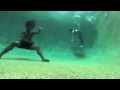 Willow Smith | Female Energy | UNDER WATER ...