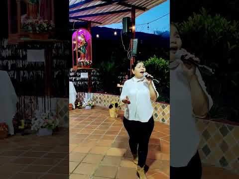 Fiesta en Restrepo Meta La Virgen del Carmen