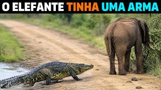 Crocodilo TENTA ATACAR elefante e PAGA AS CONSEQUÊNCIAS 😱