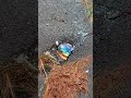 Pissing on my burnt gay flag