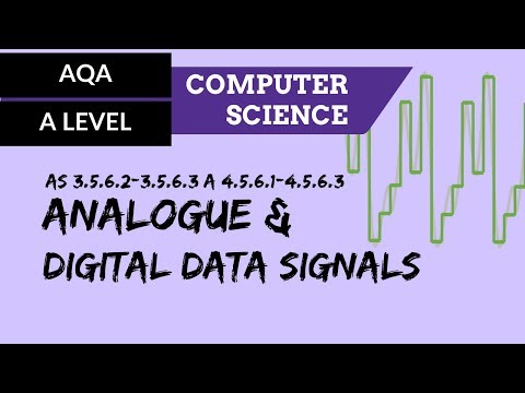 Data Types CS50 Shorts