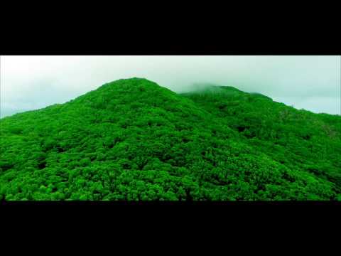 Junior ( Lidespee Gang ) - Mon Frère | KDVisual