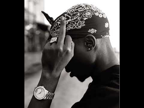 2pac - All my nyggas on the eastside / westside