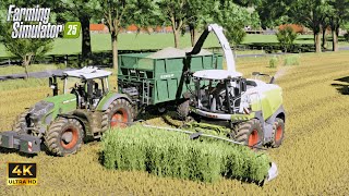 FS25 ReShade Gameplay | Claas Jaguar chopping Greenrye |