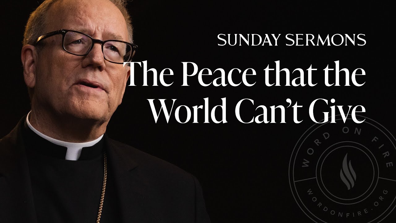 The Peace that the World Can’t Give - Bishop Barron's Sunday Sermon