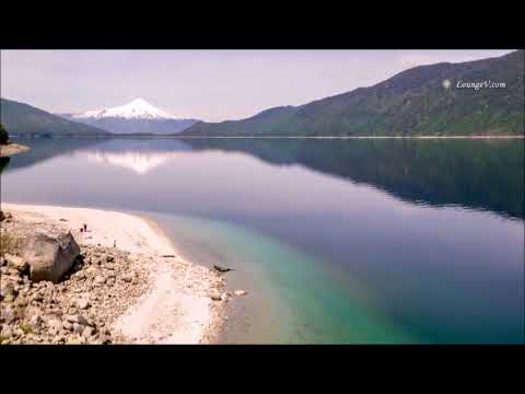 PLEGARIA   JUAN ARVIZU