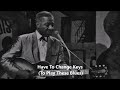 Lonnie Johnson-Have To Change Keys (To Play These Blues)