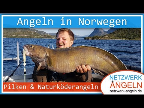 Pilken und Naturköderangeln in Norwegen: So fängt man Dorsch, Seelachs, Leng, Lumb und Seehecht!
