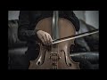 Solo Cello Passion For Cello Lovers
