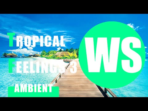 Tropical Feelings 3 - Niklas Gustavsson [Beats]