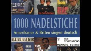 Searchers - Tausend Nadelstiche