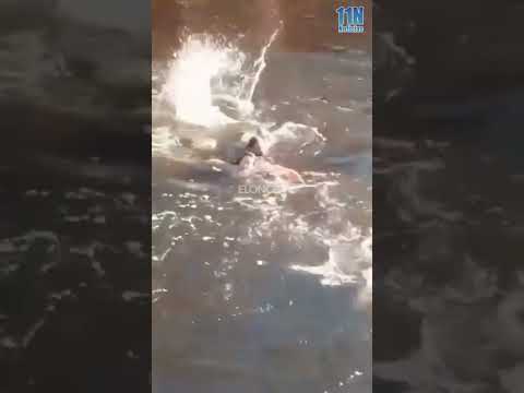 Rescate  en Mina Clavero: guardavidas salvaron a personas atrapadas por una creciente