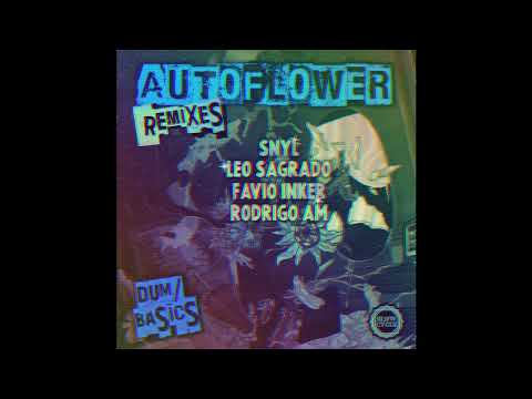 AUTOFLOWER - Dum (SNYL Remix)