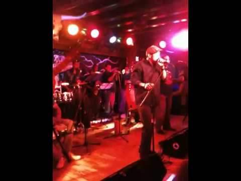 Lobo domesticado Raul Raul with Pablo antonio y la firma