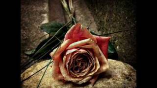 Within Temptation - The Truth Beneath The Rose (lyrics)
