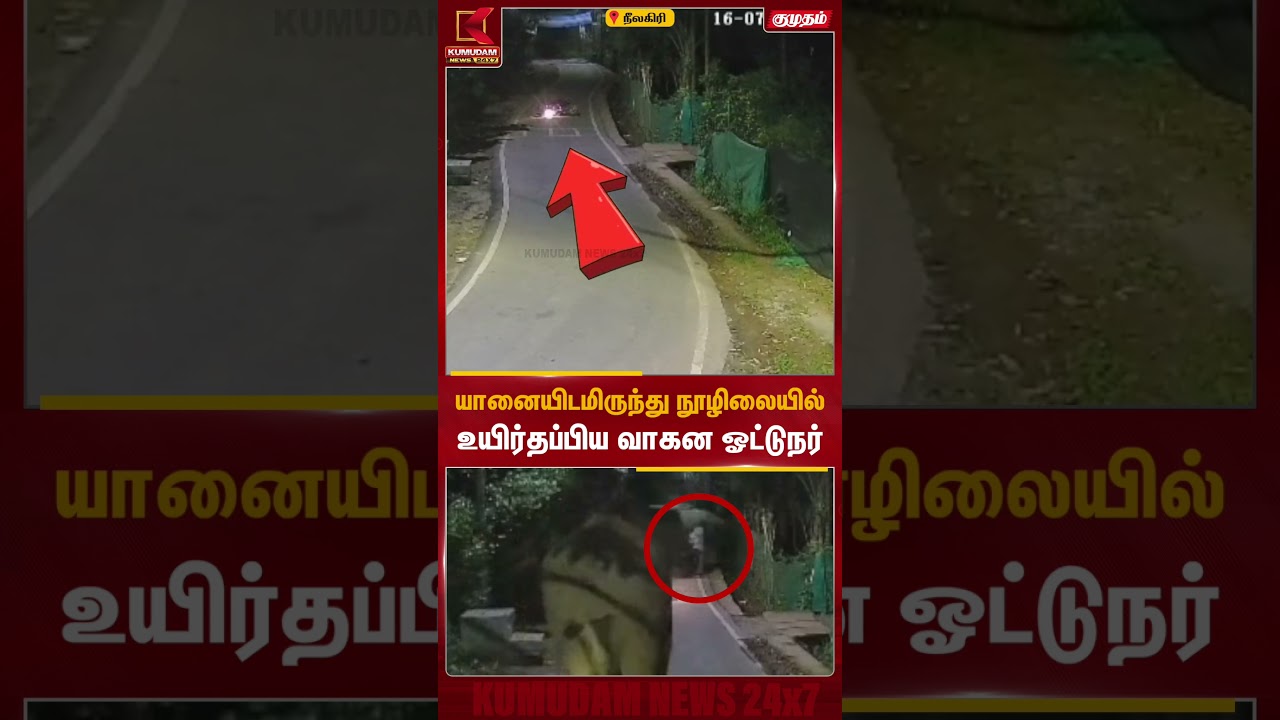 யானையிடமிருந்து நூழிலையில் உயிர்தப்பிய வாகன ஓட்டுநர் | Nilagiri Elephant | Elephant Viral Video