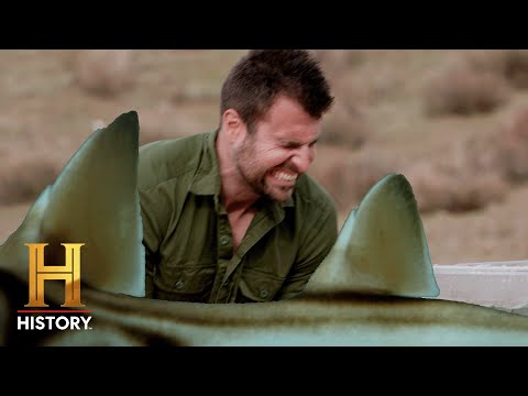 STINGING SHARKS Bring BLOODY PAIN | Kings of Pain (Season 2) | History
