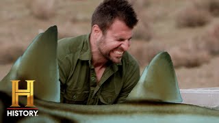 STINGING SHARKS Bring BLOODY PAIN | Kings of Pain (Season 2) | History