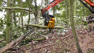 Cru contractors ltd with Forestry harvester at Hadleigh