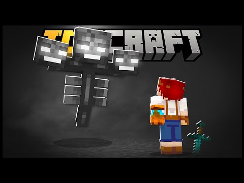 ENTÃO EU TIVE A IDEIA MAIS IDIOTA DO SERVIDOR - TopCraft Ep.9