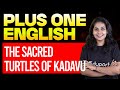 Plus One English The Sacred Turtles Of Kadavu Eduport Plus One