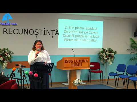 Oana-Maria Cîcu - Cine-I oare Meşter mare ?