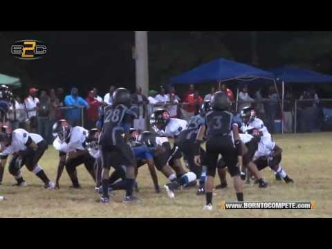 B2C: North Henry Tigers vs Welcome All Panthers - 12U Division