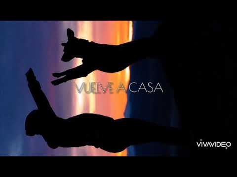 Drival feat. Erick Lumiere - Come Home / sub español (DJ T.H. mix)