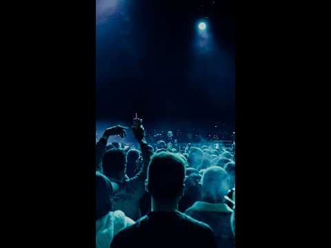 PIRATE SNAKE - BAROQUE CLUB