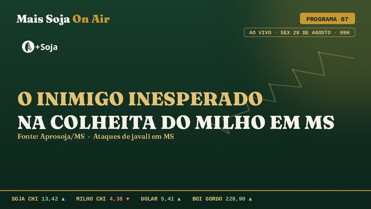 Cálculo do frete e as regras para defensivos | Mais Soja On Air