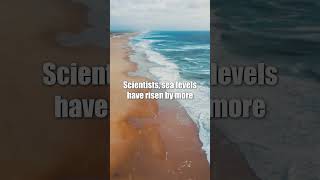 Sea Levels have rising by more than 8 inches #climateemergency #climatechangereport  #science