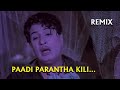 Paadi Parantha Kili Remix