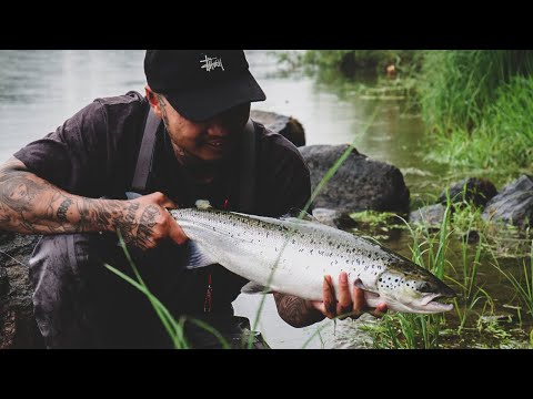 Kuulumisia Kymijoelta #20 - "Paluu arkeen" | Lohenkalastusta Kymijoella