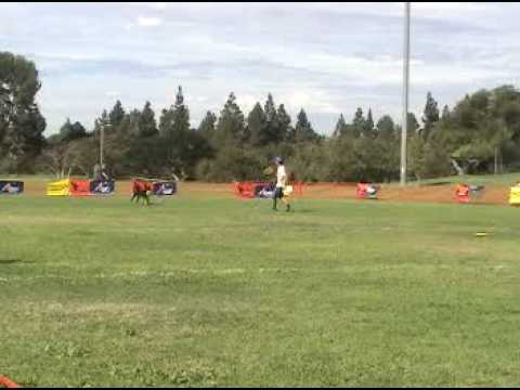 AWI World Championship Los Angels, Oct 31 - Nov 2, 2008