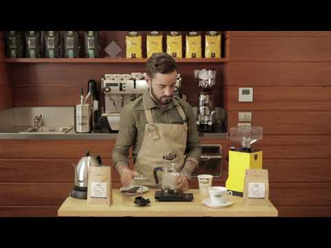 Tutorial caffé filtrato infusione French Press - Tecniche di Brewing