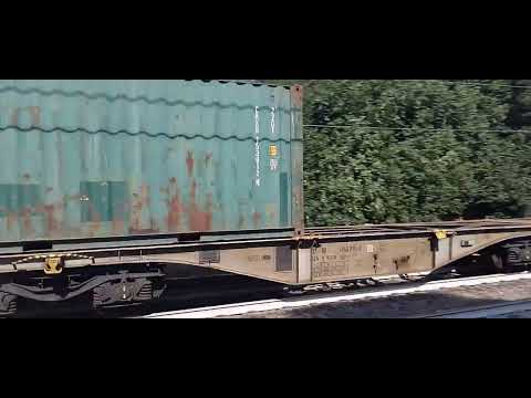 TC Bologna INT San Ferdinando 